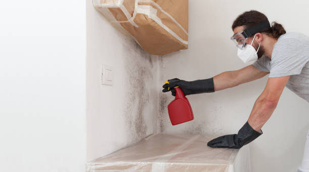 Professional Bathroom Mold Removal technician working in Hamburg, MN