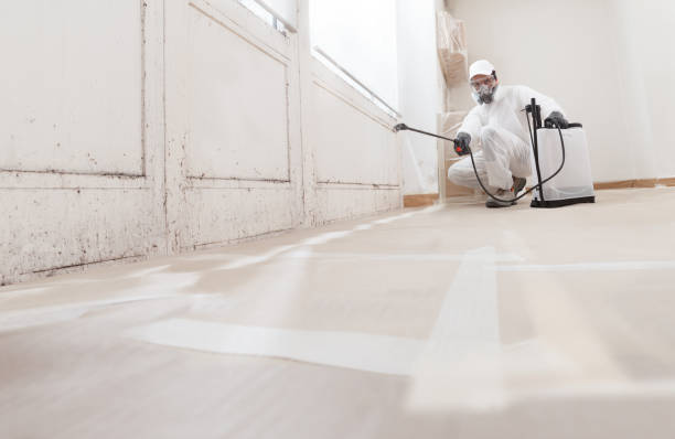 24/7 Emergency Bathroom Mold Removal experts in Hamburg, MN