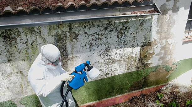 Top rated local Bathroom Mold Removal specialists in Hamburg, MN